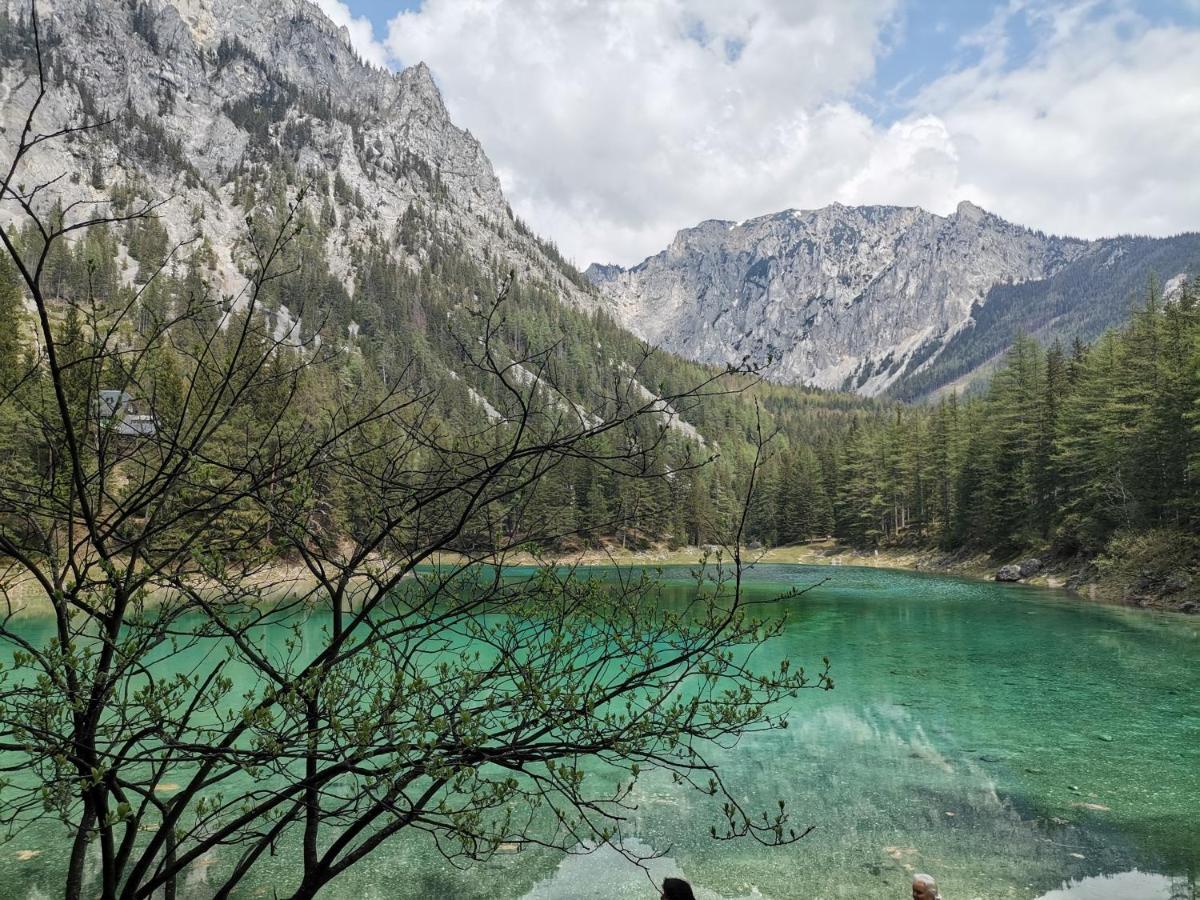 Haus Bergblick Fruehstueckspension Oberort Exteriér fotografie