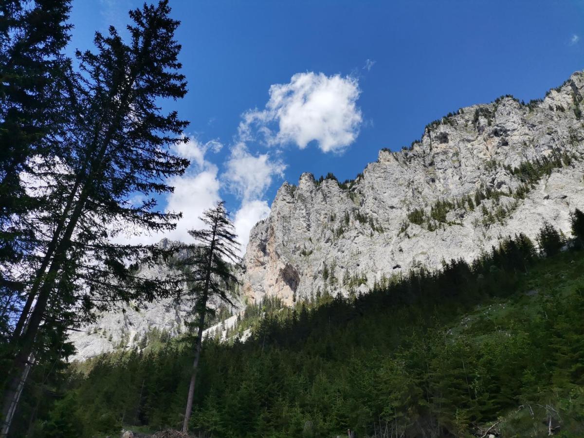 Haus Bergblick Fruehstueckspension Oberort Exteriér fotografie