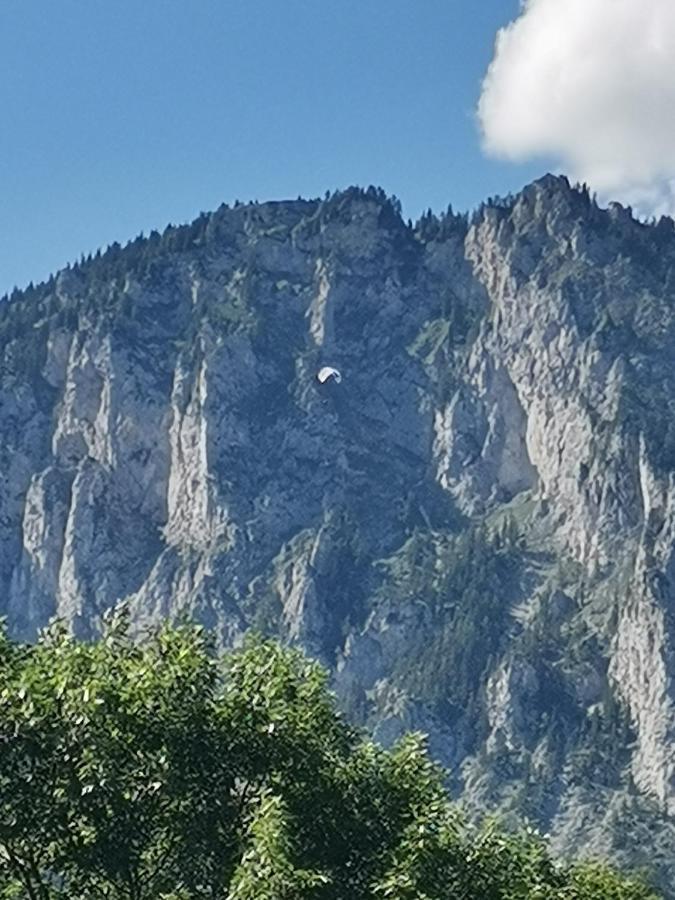 Haus Bergblick Fruehstueckspension Oberort Exteriér fotografie