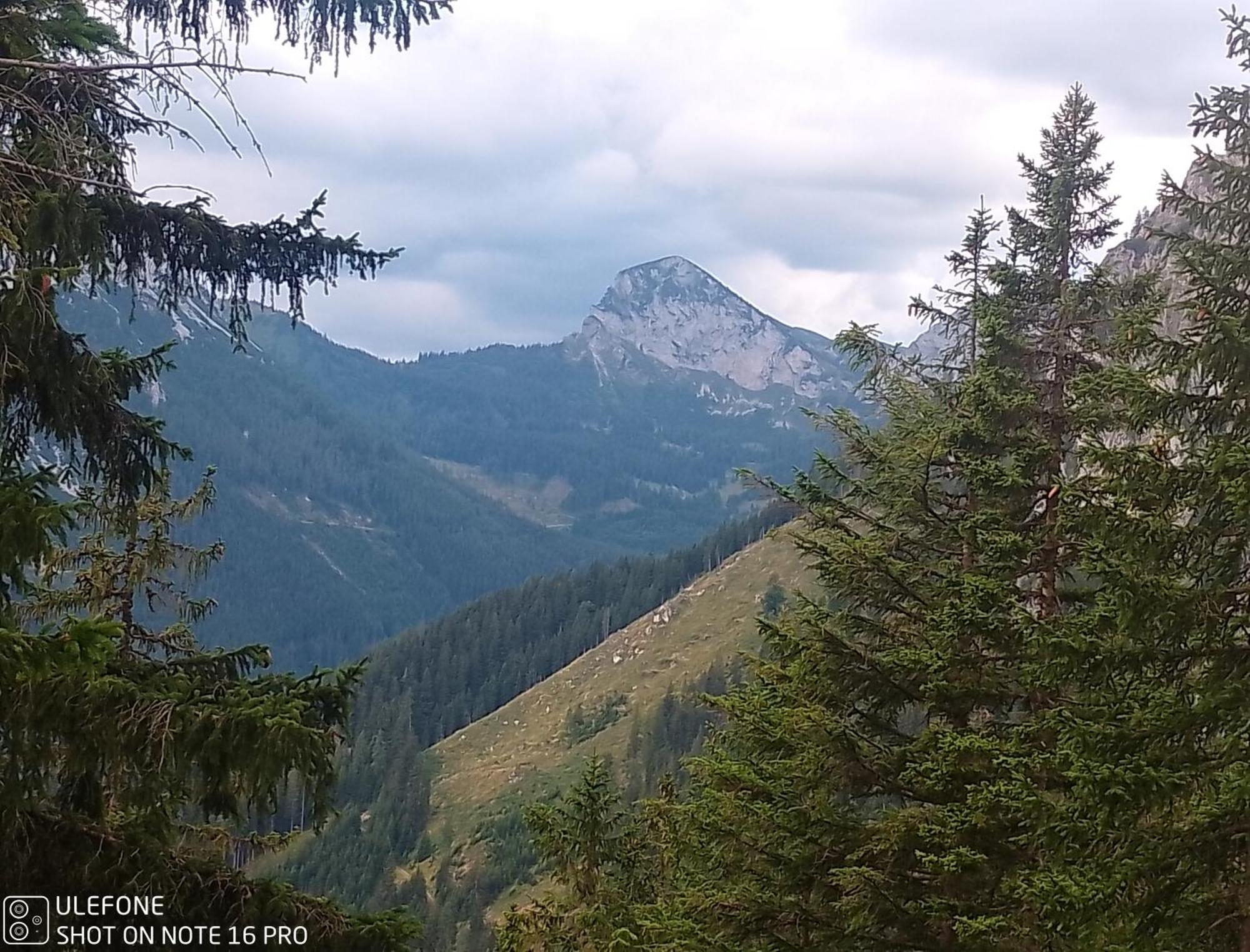 Haus Bergblick Fruehstueckspension Oberort Exteriér fotografie