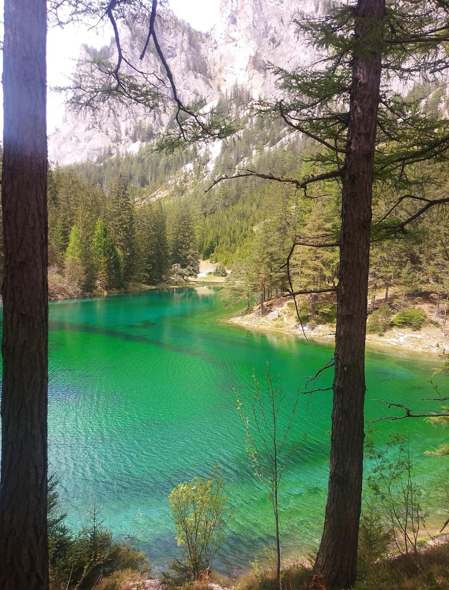 Haus Bergblick Fruehstueckspension Oberort Exteriér fotografie